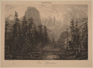 Las jodłowy autorstwa Alexandre Calame