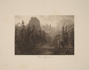 Las jodłowy autorstwa Alexandre Calame