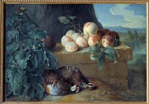 Brzoskwinie i kuropatwy. Obraz Francois Desportes (1661-1743) autorstwa Alexandre Francois Desportes