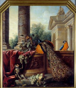 Martwa natura z pawim Papuga, małpa i kiści winogron. Obraz Francois Desportes (1661-1743) XVIII w. Słońce. 2,05x1,8 m Lyon, Musee des Beaux Arts autorstwa Alexandre Francois Desportes