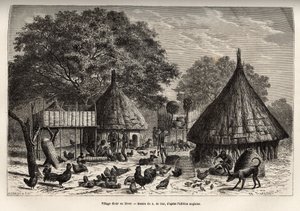 Wioska Diour zimą (Sudan) i codzienne zajęcia mieszkańców pośród zwierząt wychowanych przez społeczność, rycina wg rysunku A. de Bar, ilustrująca podróż do serca Afryki w latach 1868-1871, autorstwa dr. Georges Schweinfurt