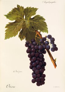 Uchwyt graniczny A. Kreiter