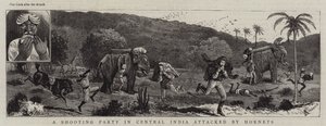 Grupa strzelecka w środkowych Indiach zaatakowana przez szerszenie autorstwa Alfred Chantrey Corbould