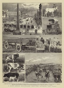Południowoafrykańska Wystawa Rolnicza, Port Elizabeth, Cape Colony
