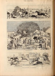 Polowanie na wieprze w Bengalu autorstwa Alfred Chantrey Corbould