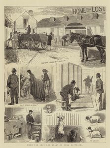 Dom dla zagubionych i głodujących psów, Battersea autorstwa Alfred Chantrey Corbould