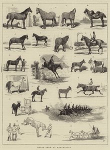 Pokaz koni w Manchesterze autorstwa Alfred Chantrey Corbould