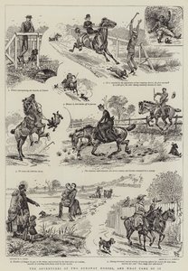 Przygody dwóch zbiegłych koni i co z tego wynikło autorstwa Alfred Chantrey Corbould