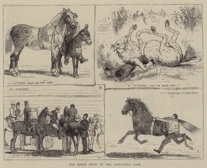 Pokaz koni w Alexandra Park autorstwa Alfred Chantrey Corbould