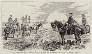 Bateria Mułów Górskich, ostatnio uformowana w Aldershot, w akcji na Obóz Cezara autorstwa Alfred Chantrey Corbould