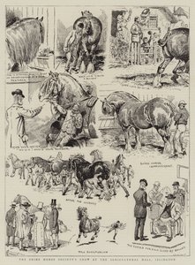 Shire Horse Society Show w Hali Rolniczej w Islington autorstwa Alfred Chantrey Corbould