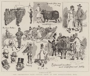 Klubowa Wystawa Bydła Smithfield w Hali Rolniczej autorstwa Alfred Chantrey Corbould