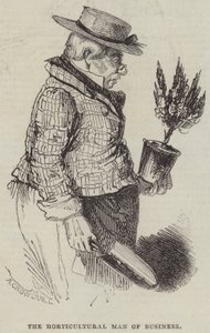 Ogrodniczy człowiek biznesu autorstwa Alfred Crowquill