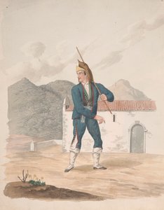 Palma autorstwa Alfred Diston