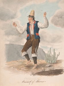 Wieśniak z Hierro autorstwa Alfred Diston
