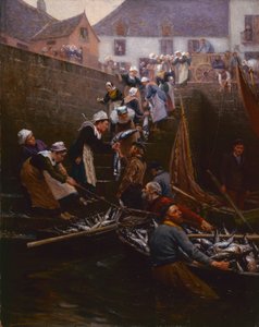 Lądowanie tuńczyka w Concarneau