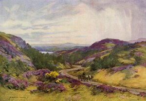 Dania: Raebild Hills, niedaleko Aalborg (kolor lito) autorstwa Alfred Heaton Cooper