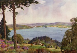 Dania: Vejle Fiord, Południowa Jutlandia (kolor lito) autorstwa Alfred Heaton Cooper