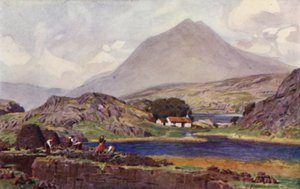 Zbieracze darni, Connemara autorstwa Alfred Heaton Cooper