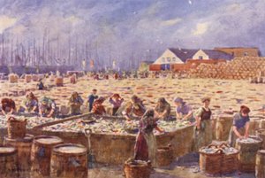 Yarmouth, Norfolk, żniwa śledzia