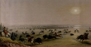  autorstwa Alfred Jacob Miller