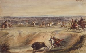 Surround lub Hunting the Buffalo, c.1839 (ołówek, pióro i atrament, akwarela i gwasz na papierze) autorstwa Alfred Jacob Miller
