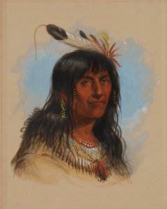 „Big Bowl” (wódz Kruków) autorstwa Alfred Jacob Miller