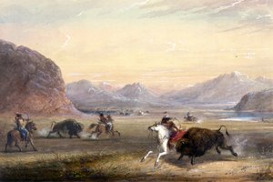 Polowanie na bizony w pobliżu Independence Rock autorstwa Alfred Jacob Miller