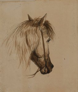 Głowa konia autorstwa Alfred Jacob Miller