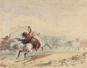 Lassoing Wild Horses, ok. 1837 (ołówek, długopis, atrament, akwarela i gwasz na papierze) autorstwa Alfred Jacob Miller