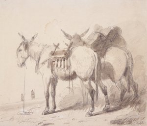 Mule Equipment, c.1837 (ołówek i pranie na papierze) autorstwa Alfred Jacob Miller