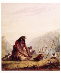 Indianin z plemienia Shosohonee [sic] przygotowujący posiłek