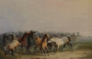  autorstwa Alfred Jacob Miller