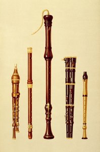 Podwójny flageolet, flet niemiecki, flet prosty, podwójny flageolet i flet prosty z „Instrumentów muzycznych” (litografia kolorowa)
