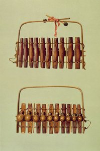 Marimba, widok z przodu i z tyłu, RPA, z "Instrumentów Muzycznych" (litografia kolorowa) autorstwa Alfred James Hipkins