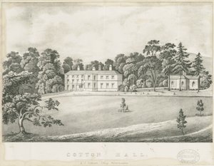 Bawełna - Hall: litografia i [XIX wiek] autorstwa Alfred Jolly Caldicott