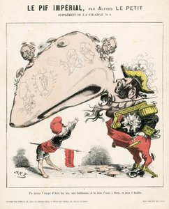Szarża (1870), nr 6, Kolor satyryczny