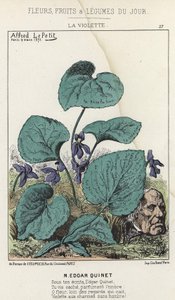 La Violette: Karykatura o Edgar Quinet - ch. od 09.03.1871 w „Kwiaty, Owoce i Warzywa Dnia” autorstwa Alfred Le Petit