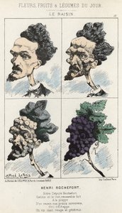 Le Raisin: Karykatura o Henri Rochefort - ch. z 09.02.1871 w „Kwiaty, Owoce i Warzywa Dnia” autorstwa Alfred Le Petit