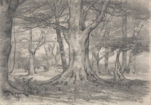Krajobraz leśny w pobliżu Boldrewood autorstwa Alfred Parsons