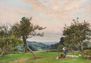 Kacze pióro (akwarela) autorstwa Alfred Parsons