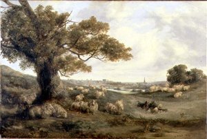 Widok Norwich