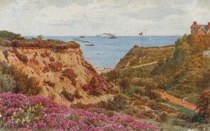 Ałun Chiny, Bournemouth autorstwa Alfred Robert Quinton