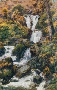 Arthog Falls, Nr. Barmouth autorstwa Alfred Robert Quinton