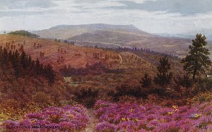 Blackdown od Hindheada autorstwa Alfred Robert Quinton