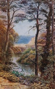 Słodki Chińczyk, Bournemouth autorstwa Alfred Robert Quinton