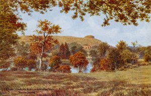 Chanctonbury Ring, z Wiston Pond, South Downs autorstwa Alfred Robert Quinton