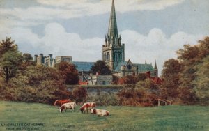Chichester, Katedra, z Łąk autorstwa Alfred Robert Quinton