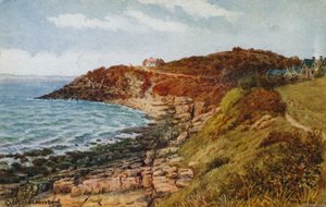 Clevedon, Zatoka Lady