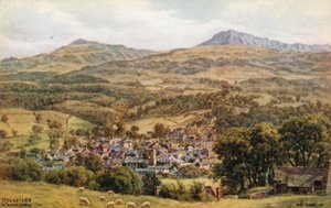 Dolgelley i Cader Idris autorstwa Alfred Robert Quinton